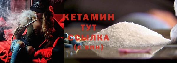 сатива Балахна