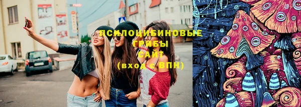 сатива Балахна