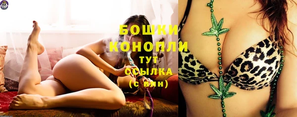 сатива Балахна