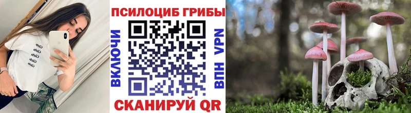 Галлюциногенные грибы мицелий  закладки  Скопин 