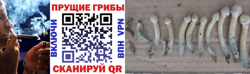 Псилоцибиновые грибы Magic Shrooms Скопин